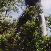  Monkey River, Belize